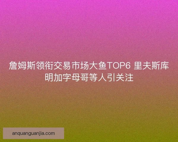 詹姆斯领衔交易市场大鱼TOP6 里夫斯库明加字母哥等人引关注