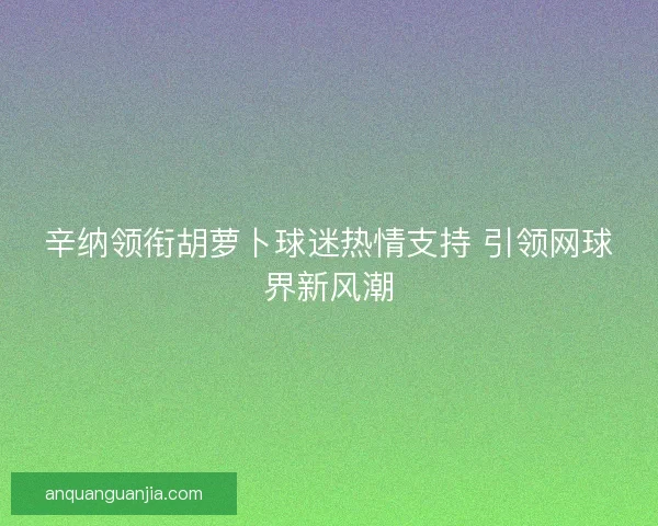 辛纳领衔胡萝卜球迷热情支持 引领网球界新风潮