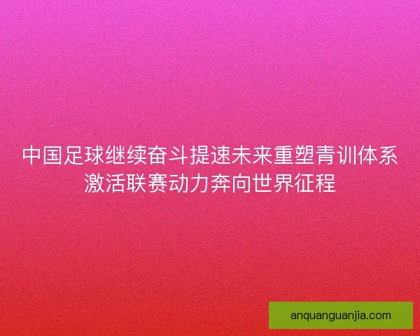 中国足球继续奋斗提速未来重塑青训体系激活联赛动力奔向世界征程