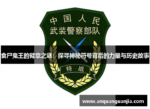 食尸鬼王的臂章之谜：探寻神秘符号背后的力量与历史故事